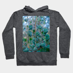 Cute succulent Hoodie